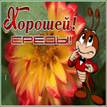 Postcard 1