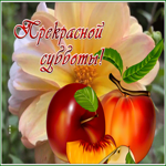 Postcard 1
