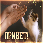 Postcard 1