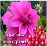 Postcard 1