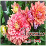Postcard 1