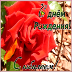 Картинка анимационная картинка с юбилеем женщине
