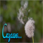 Открытка анимационная открытка скучаю