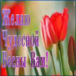 Открытка анимация чудесной вам весны