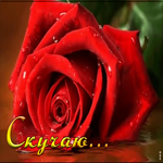 Картинка анимация скучаю