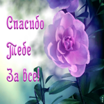 Открытка анимация спасибо тебе за все