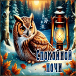 Picture атмосферная открытка, спокойной ночи!