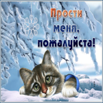 Postcard берущая за душу открытка прости меня