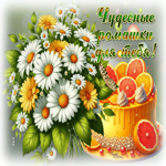 Postcard бесподобная гиф-открытка, чудесные ромашки для тебя