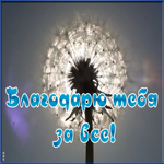 Открытка благодарю тебя за все