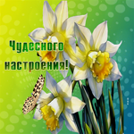 Postcard чарующая гиф-открытка, чудесного весеннего тебе настроения