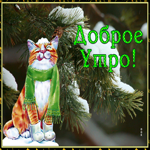 Картинка чудесная открытка доброе утро с котиком