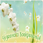 Картинка чудесного воскресенья