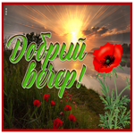 Picture чудесная открытка добрый вечер с красными маками