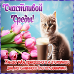 Picture добродушная открытка,  прекрасной и спокойной среды