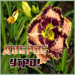 Picture доброе утро