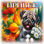 Picture добросердечная гиф-открытка, привет от песика
