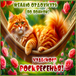 Postcard душевная гиф-открытка, чудесного воскресенья