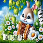 Picture душевная гиф-открытка, приветик