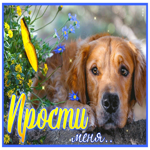 Picture душевная открытка прости с песиком и бабочкой