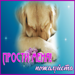 Открытка двигающаяся открытка прости