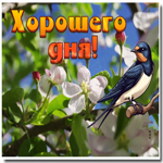 Picture элегантная гиф-открытка желает хорошего дня