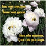 Картинка фото открытка с цветами