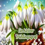 Postcard frühlingsanfang