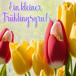 Picture frühlingsanfang