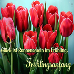 Picture frühlingsanfang