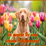 Picture frühlingsanfang