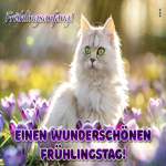 Postcard frühlingsanfang