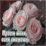 Postcard гармоничная гиф-открытка, прости меня, если сможешь