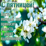 Picture гармоничная гиф-открытка, пусть каждый миг пятницы приносит радость