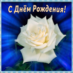 Картинка гиф картинка с днем рождения женщине