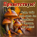 Picture глубокая гиф-открытка, приветствую, счастья и гармонии