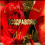 Картинка именная открытка с днем рождения мирославе