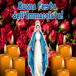 Picture immacolata concezione