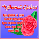 Картинка интересная картинка со средой