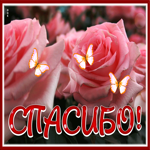 Picture исключительная открытка спасибо с розами