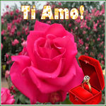 Postcard it-love