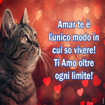 Postcard it-love