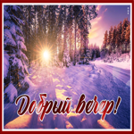 Picture изумительная открытка добрый вечер с зимним солнцем