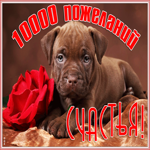 Картинка изящная открытка с пожеланиями