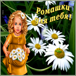 Картинка картинка букет ромашек