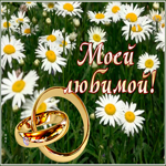 Picture картинка для моей любимой с ромашками