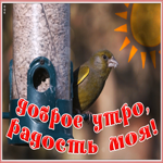 Картинка картинка доброе утро радость моя