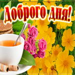 Картинка картинка доброго дня