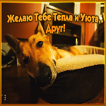 Картинка картинка другу для поднятия настроения