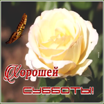 Картинка картинка гиф с субботой